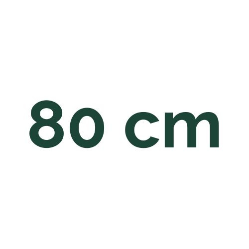 80 cm