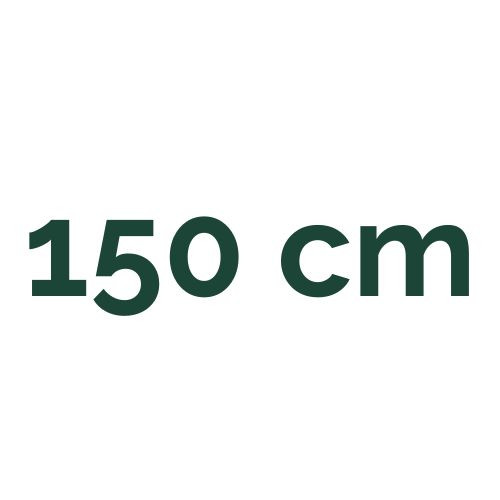 150 cm