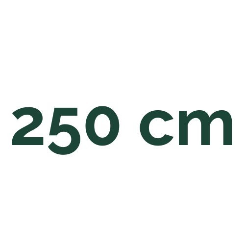 250 cm
