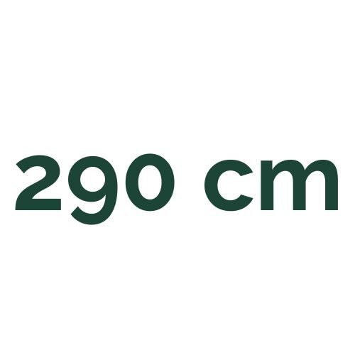 290 cm