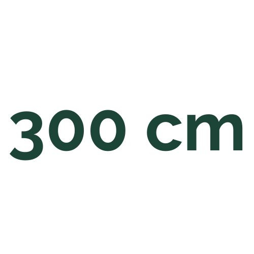 300 cm
